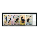 Belize 1978 Birds (2nd series) u/m. SG467-72_BELI0467M