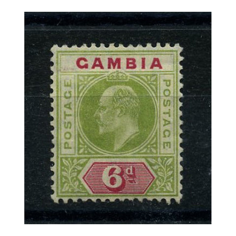 Gambia 1904-06 6d Green & carmine, mtd mint. SG64_GAMB0064MM