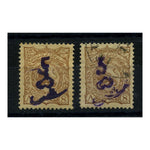 Iran 1900 5ch on 8ch Brown, both mtd mint and cds used. SG176_IRAN0176MM2