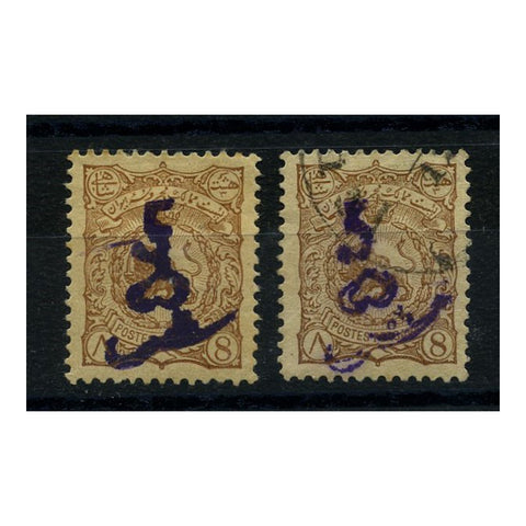 Iran 1900 5ch on 8ch Brown, both mtd mint and cds used. SG176_IRAN0176MM2