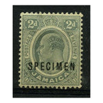 Jamaica 1911 2d Grey optd SPECIMEN, m/m SG57s