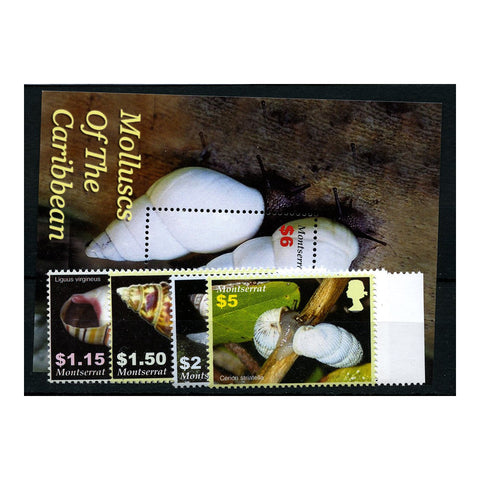 Montserrat 2005 Molluscs, u/m SG1279-82+ MS1283_MONT1279M2