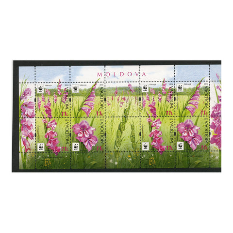 Moldova 2016 Marsh Gladioli (WWF), u/m. SG941-44 x 2+ 2 labels sheetlet