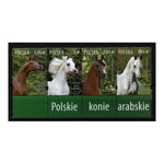 Poland 2007 Arab horses, se-tenant, u/m. SG4277a