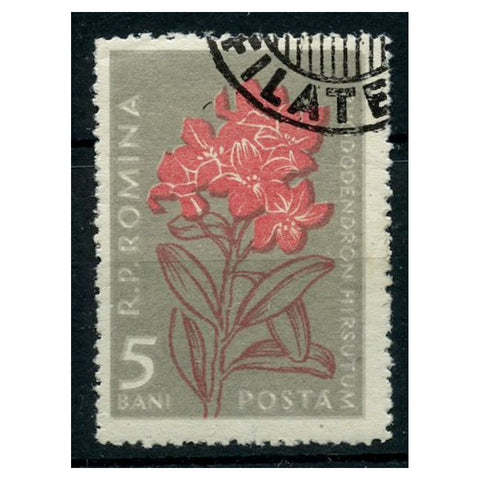 Romania 1957 5b Rhododendron, background doubled, second print shifted slighly downward, cto used. SG2513var