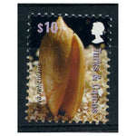 Turks & Caicos 2007 $10 Shell, u/m. SG1864